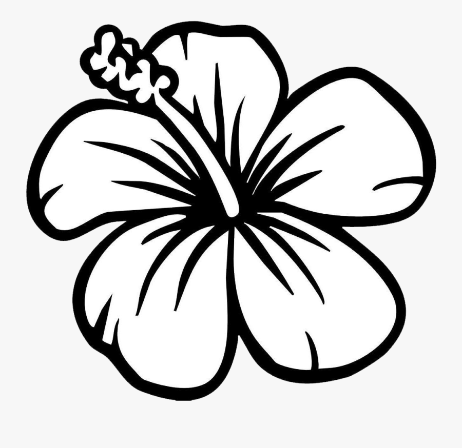 Download Hibiscus Flower Coloring Page , Free Transparent Clipart - ClipartKey