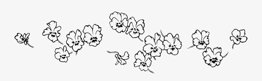 Black And White Flower Drawing Png, Transparent Clipart