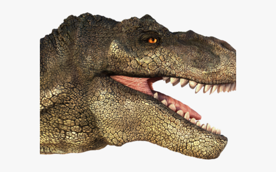 Tyrannosaurus Rex Clipart Transparent - T Rex Head Png, Transparent Clipart