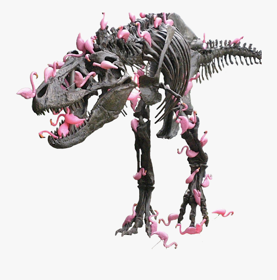 Animalpink Flamingos On A T-rex - Flamingos Attack T Rex, Transparent Clipart