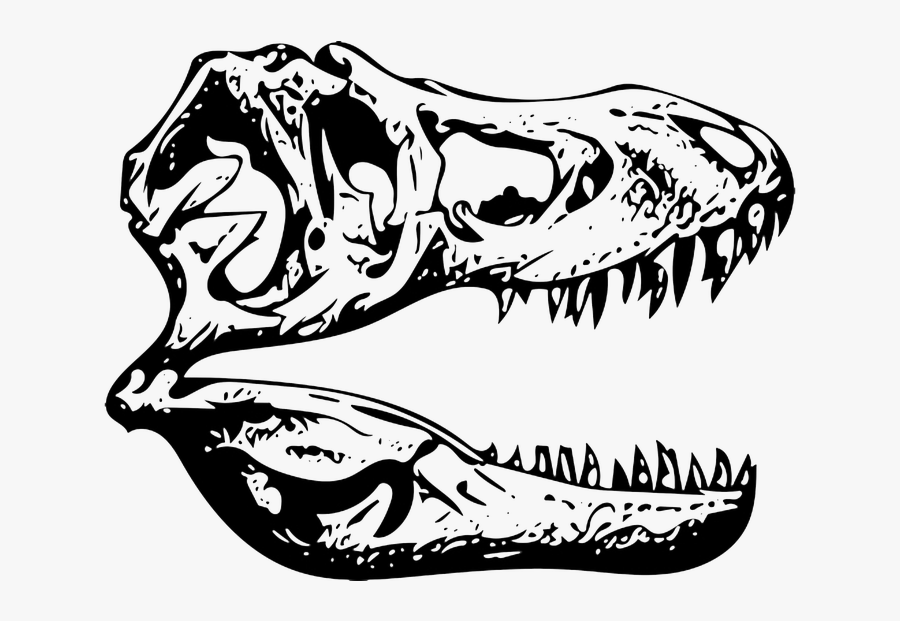 T Rex Skull Clip Art, Transparent Clipart