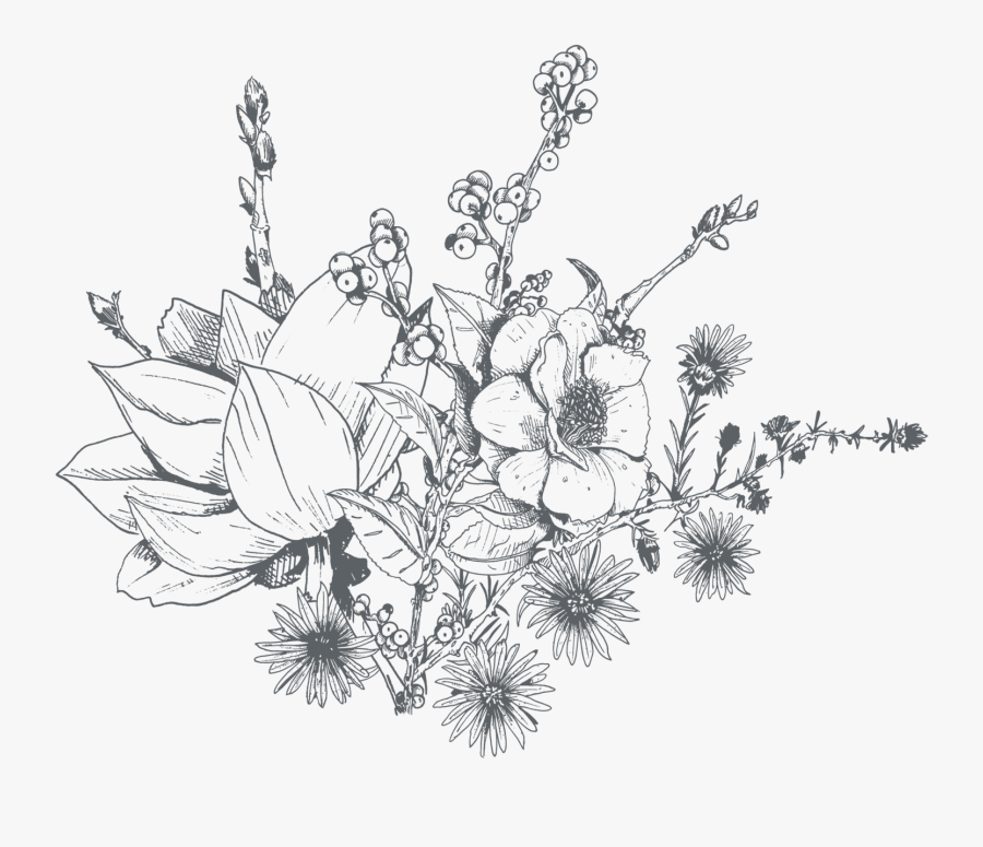 Black And White Flower Png, Transparent Clipart