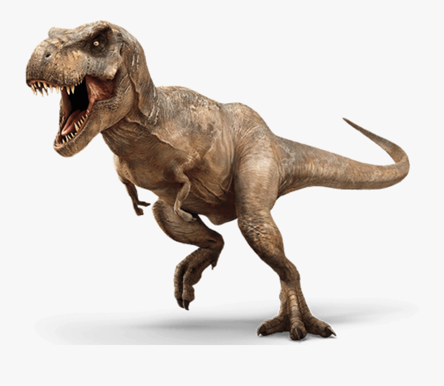 Tyrannosaurus Rex Triceratops Dinosaur Velociraptor - Jurassic World Png, Transparent Clipart