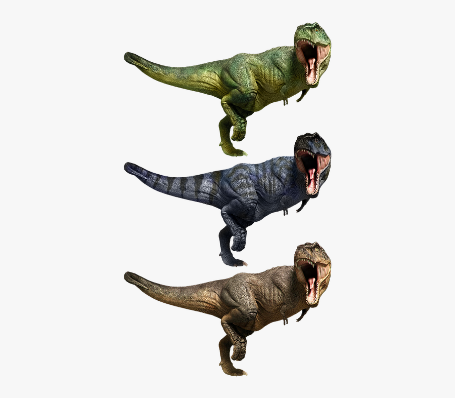 Tyrannosaurus, Transparent Clipart