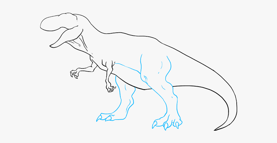 How To Draw Tyrannosaurus Rex - Tyrannosaurus, Transparent Clipart