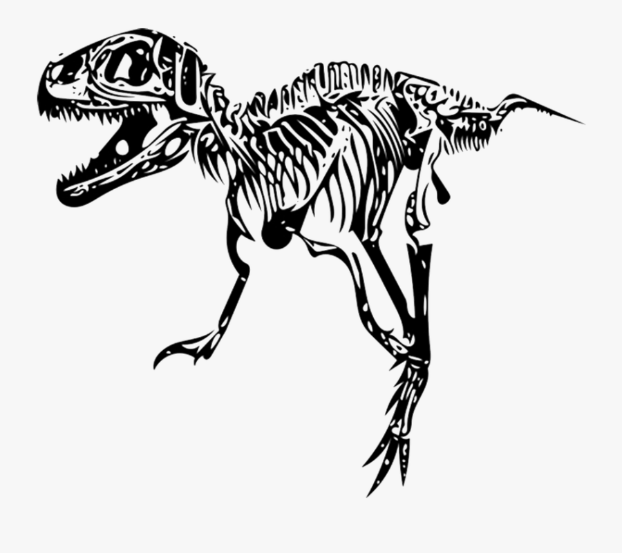 Transparent Tyrannosaurus Rex Clipart - T Rex Skeleton Black And White, Transparent Clipart