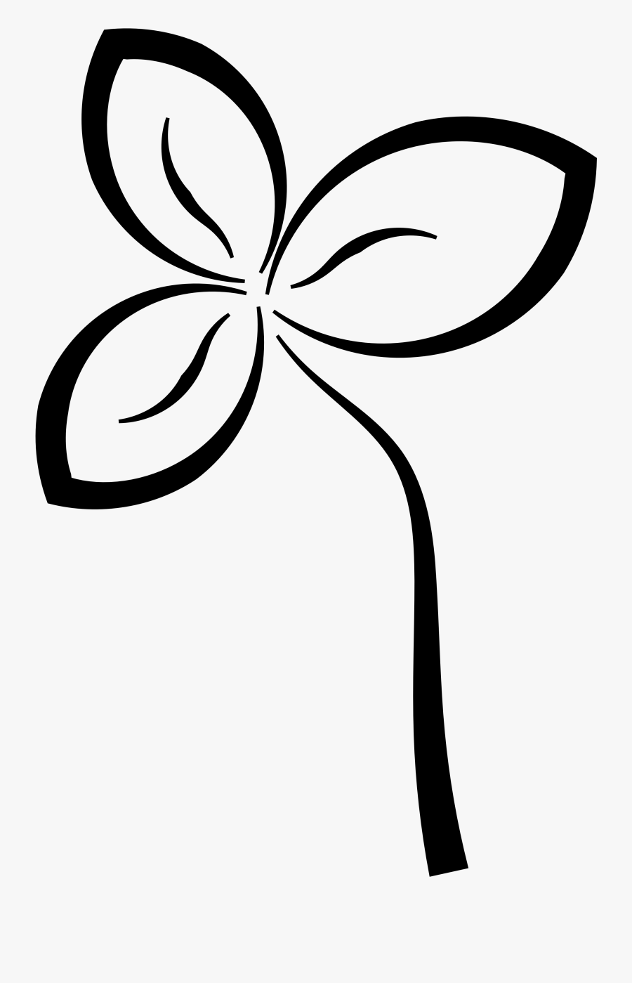Flower Black And White Hd Background Wallpaper 47 Hd - Clip Art, Transparent Clipart