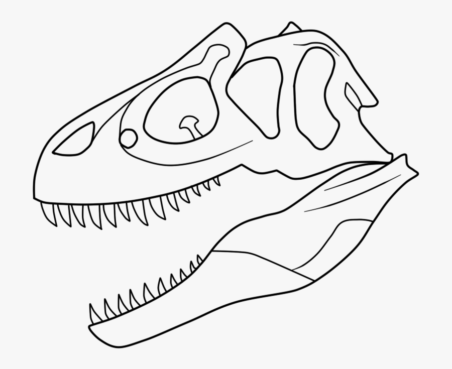 Easy Dinosaur Bones Coloring Pages / Stay with us and we come up with