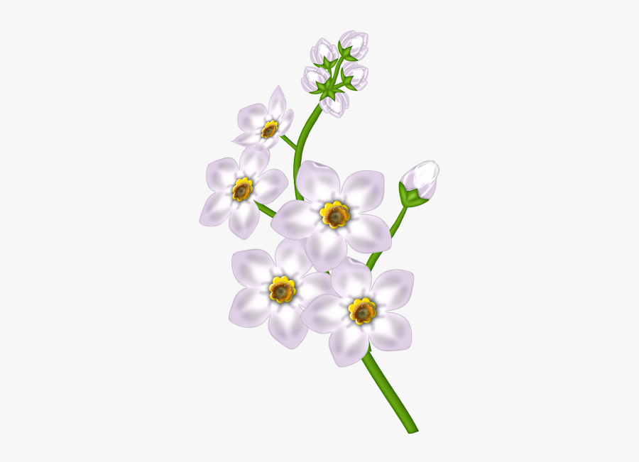 White Flower Clipart Flower Black White Md - Flower Clip Art Transparent, Transparent Clipart
