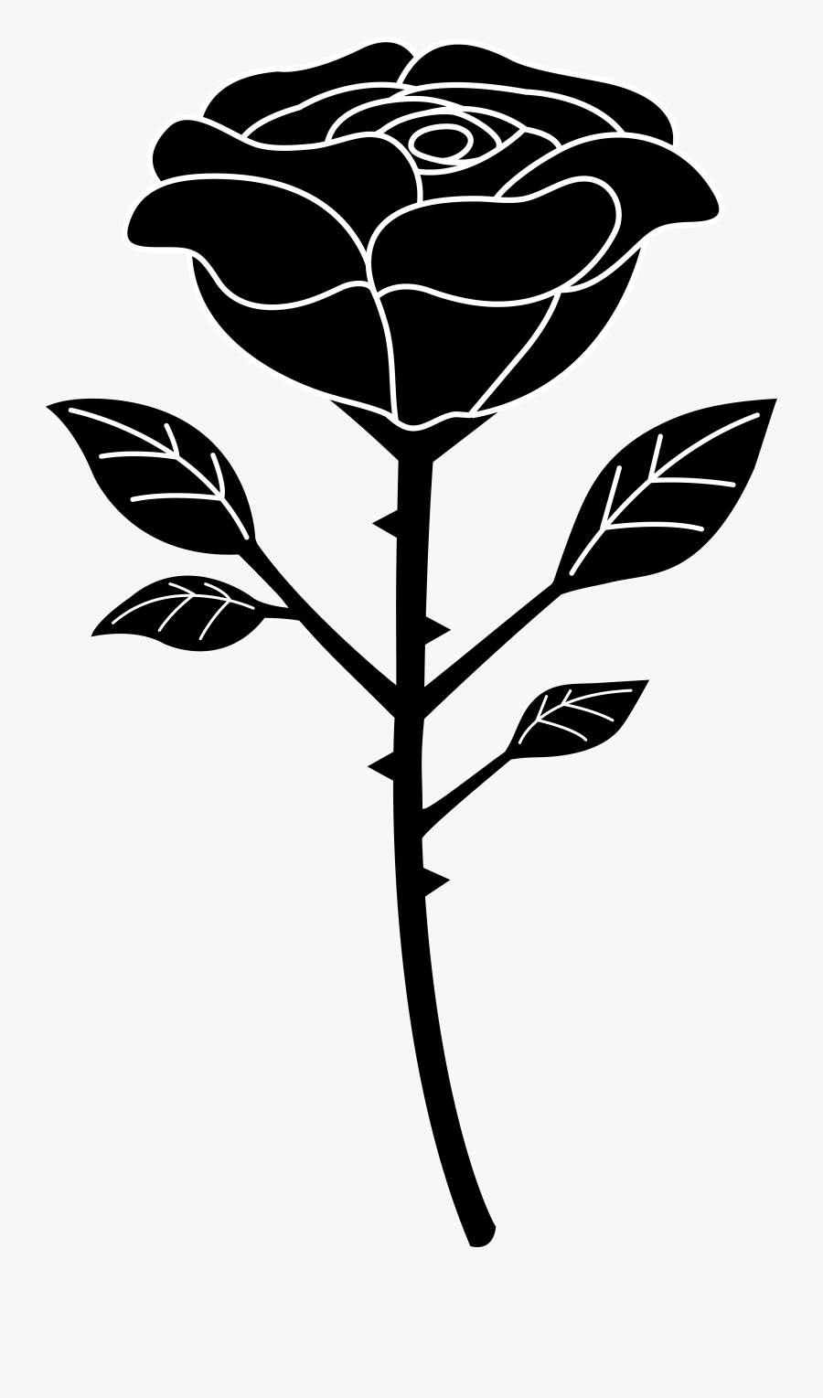 Black And White Photos - Black Rose Vector Png, Transparent Clipart