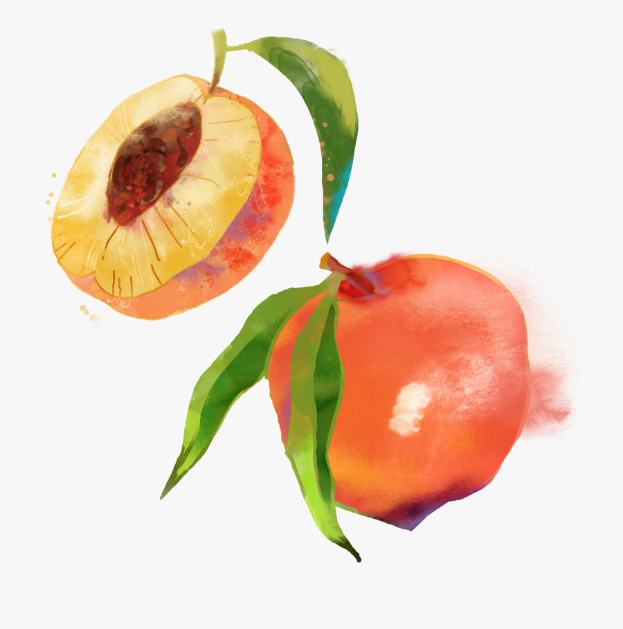 Saturn Peach Fruit Watercolor Painting - Peach Fruit Watercolor Png, Transparent Clipart