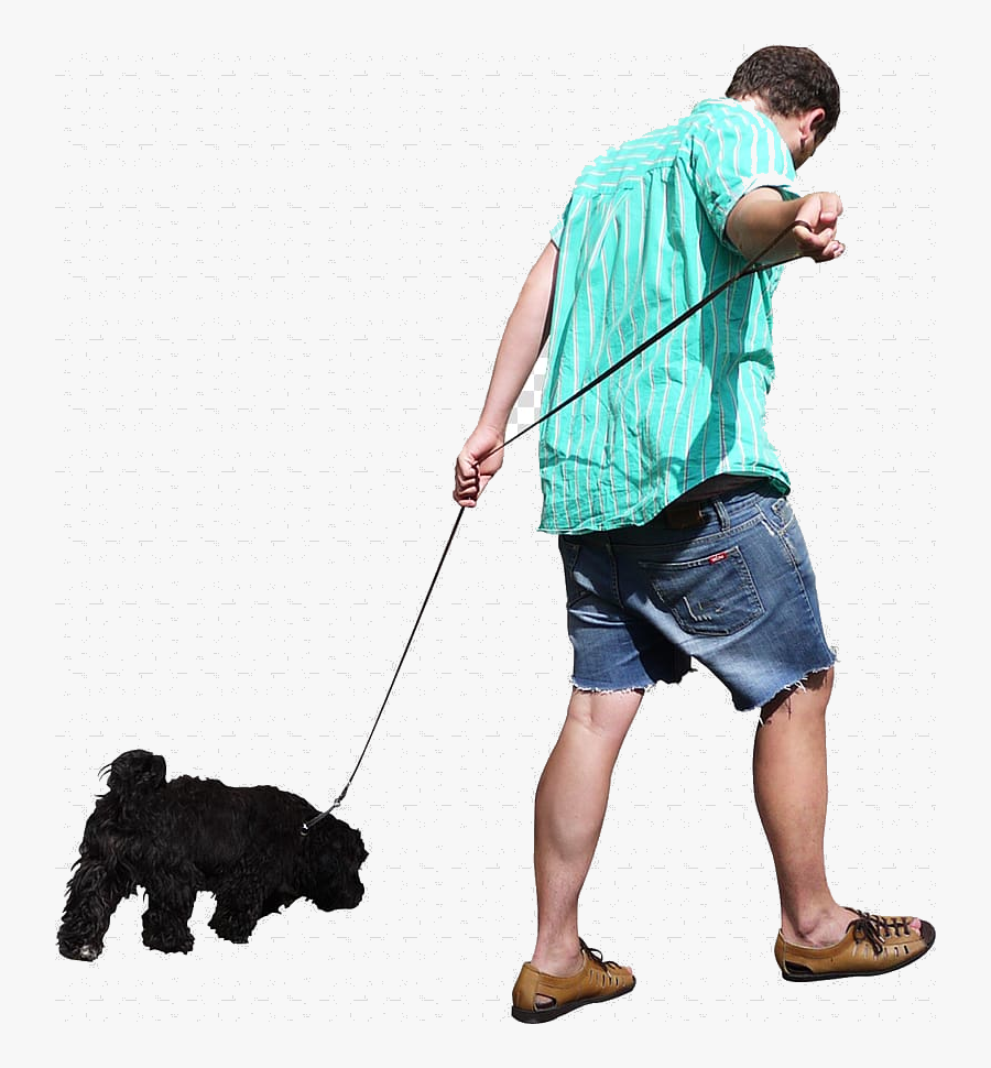 Dog Walking Man Free People Transparent Background - Person Walking Dog Transparent Background, Transparent Clipart