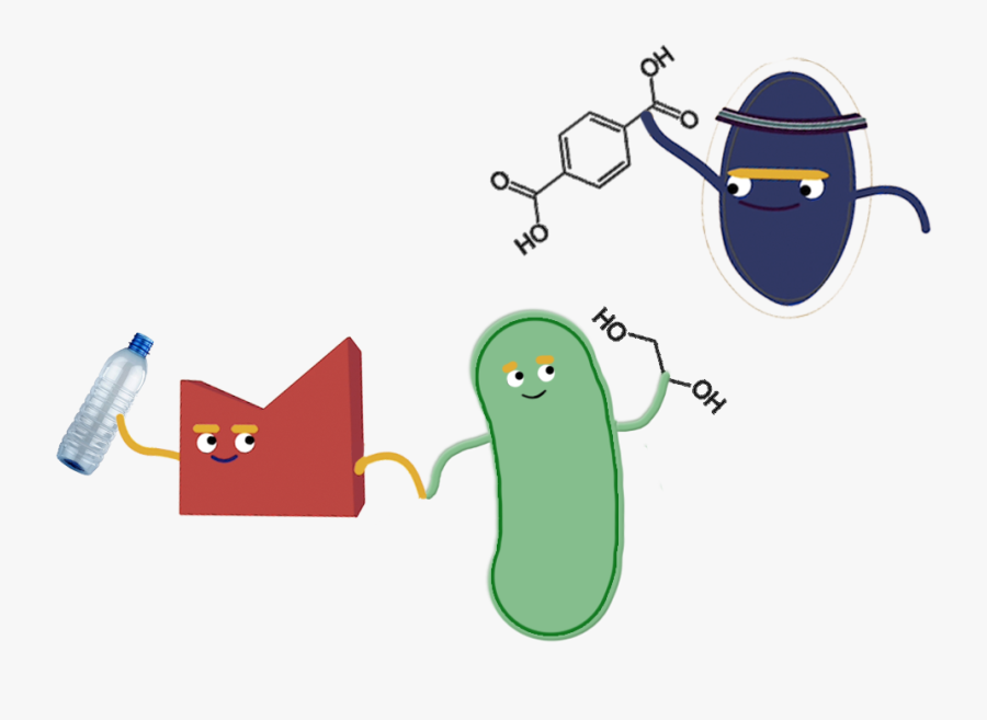 Engineering Clipart Genetic Engineering - Biodegradation Clip Art, Transparent Clipart