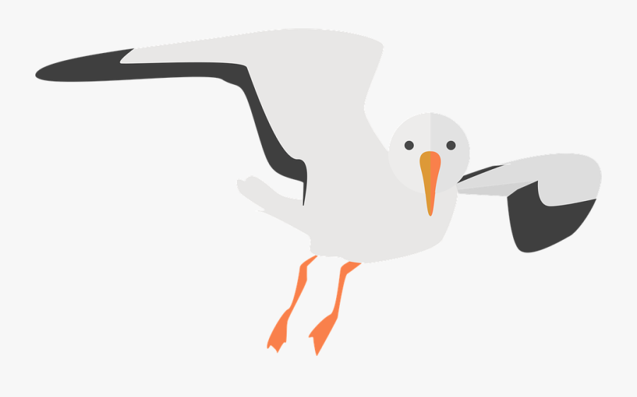 Transparent Background Seagull Clipart, Transparent Clipart