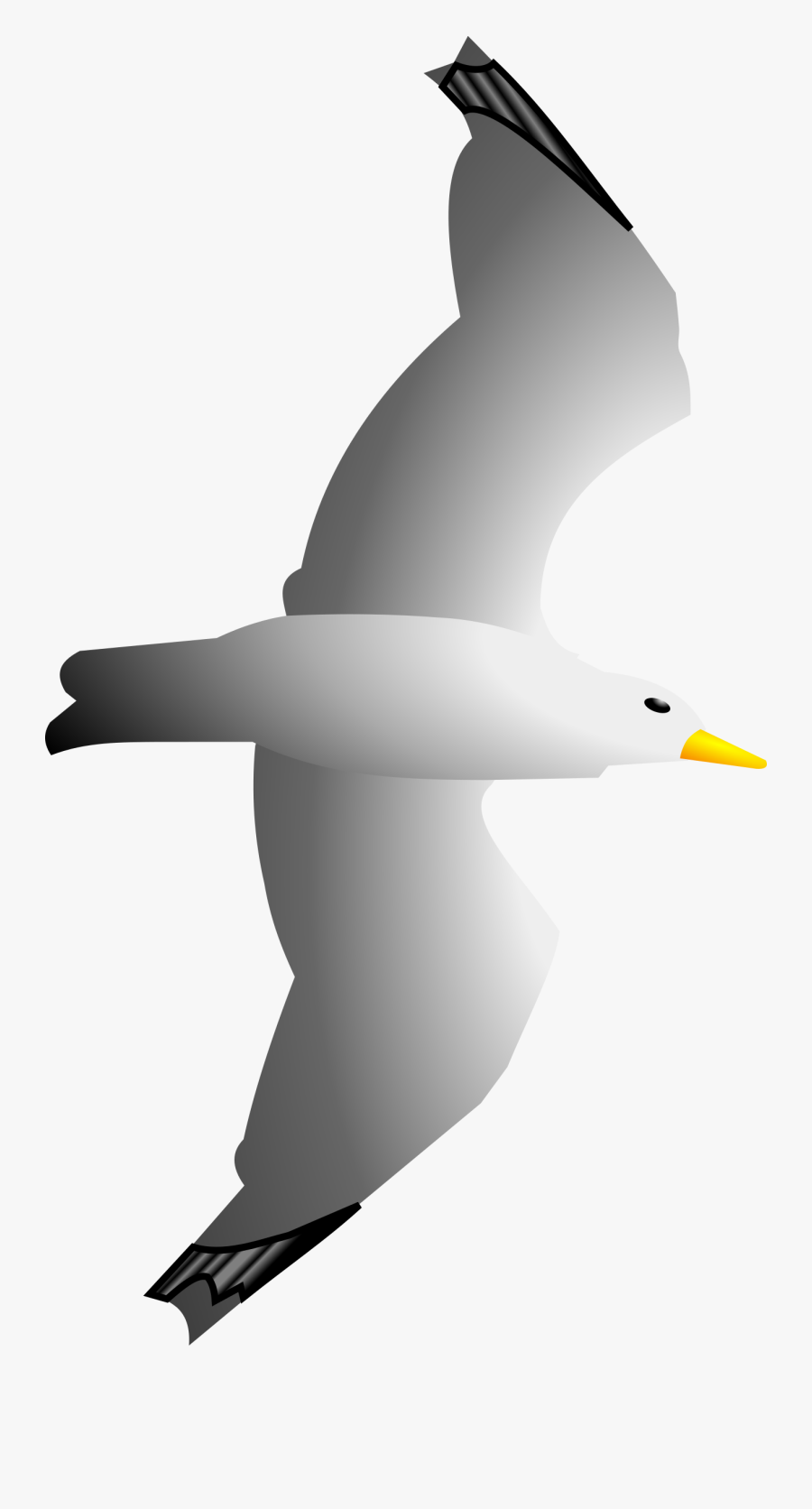 Seagull Remix - Clipart Sea Gull Png, Transparent Clipart