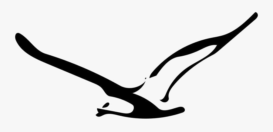 Clipart Seagull - Seagull Png, Transparent Clipart