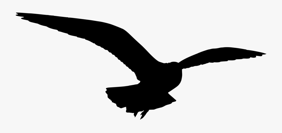 Seagull - Seagull Silhouette Clip Art, Transparent Clipart