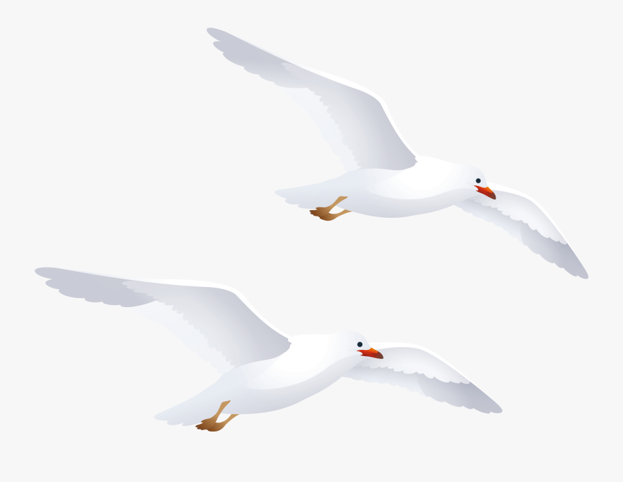Seagulls Png Clipart - Seagulls Clipart Png, Transparent Clipart