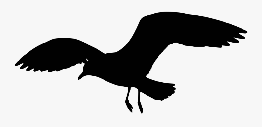 Seagull Clipart Silhouette Pencil And In Color Seagull - Silhouette Transparent Background Seagull Clipart, Transparent Clipart