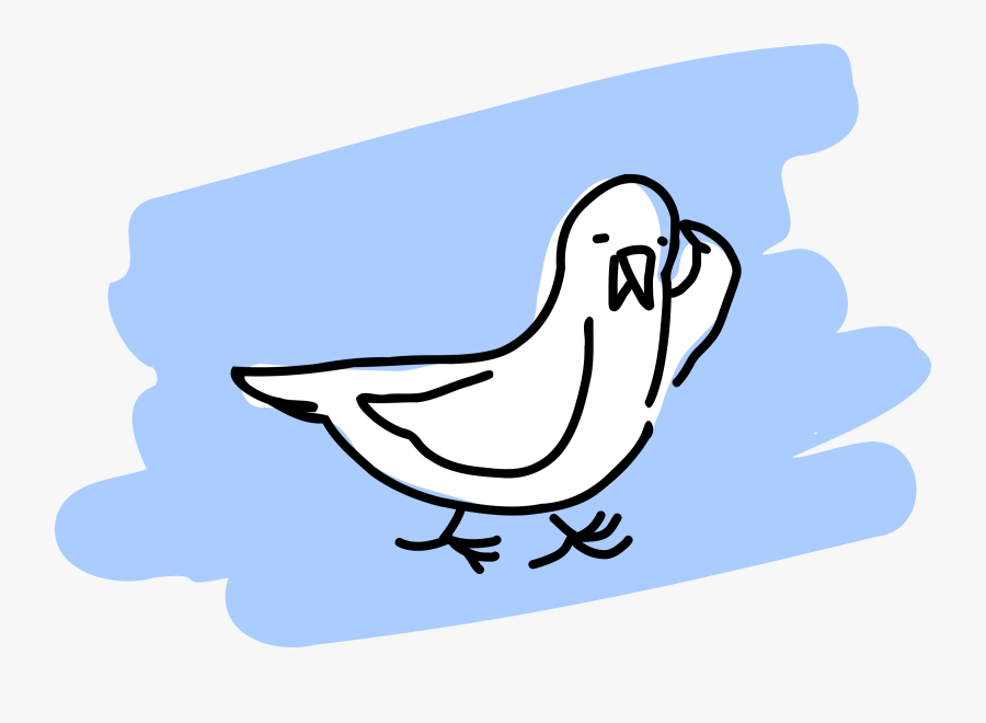 Clipart Seagull - Gulls, Transparent Clipart
