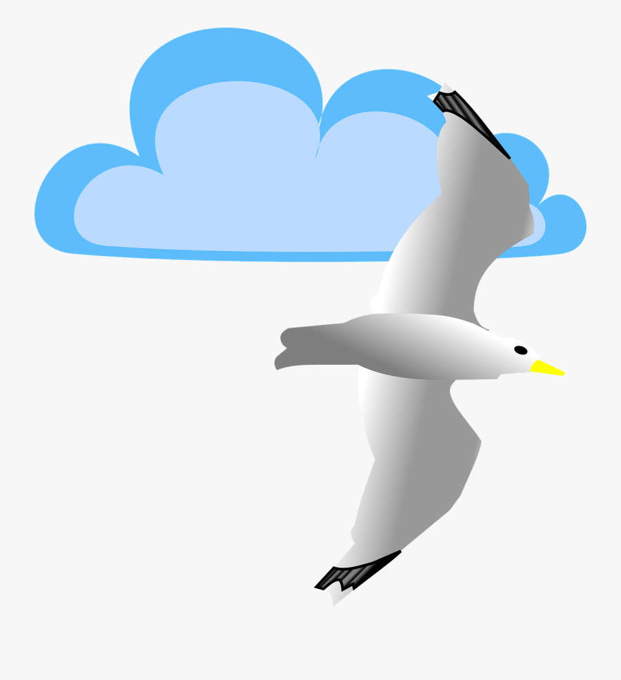 Cloud Seagull Bird Flying Png Image - Cliparts Transparent Möwen, Transparent Clipart