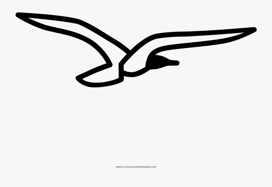 Seagull Coloring Page Clipart , Png Download, Transparent Clipart