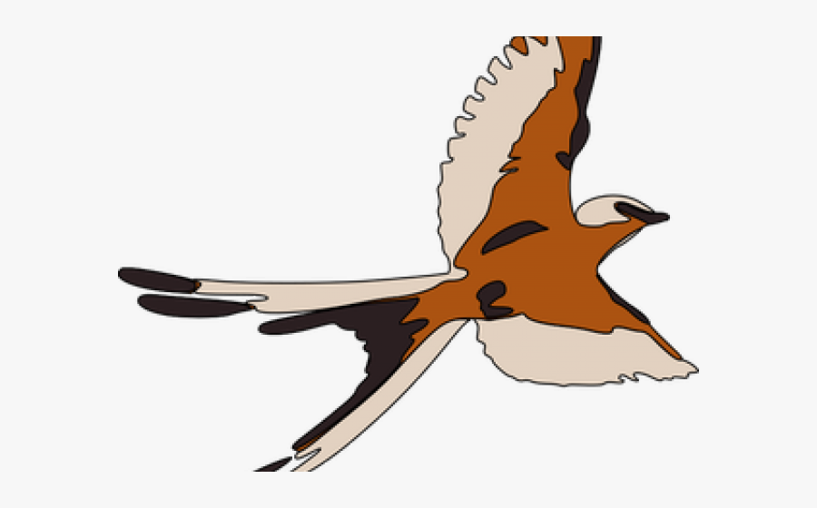 Seagull Clipart 3 Bird - Flying Birds Clipart, Transparent Clipart