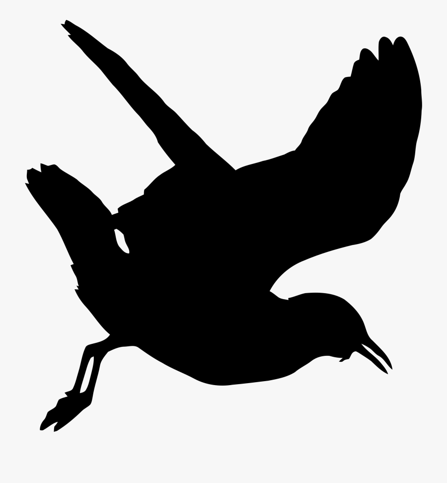 Wildlife,water Bird,monochrome Photography - Gaviota Silueta Png, Transparent Clipart