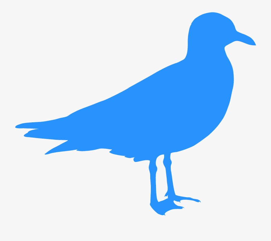 Seagull Clipart, Transparent Clipart