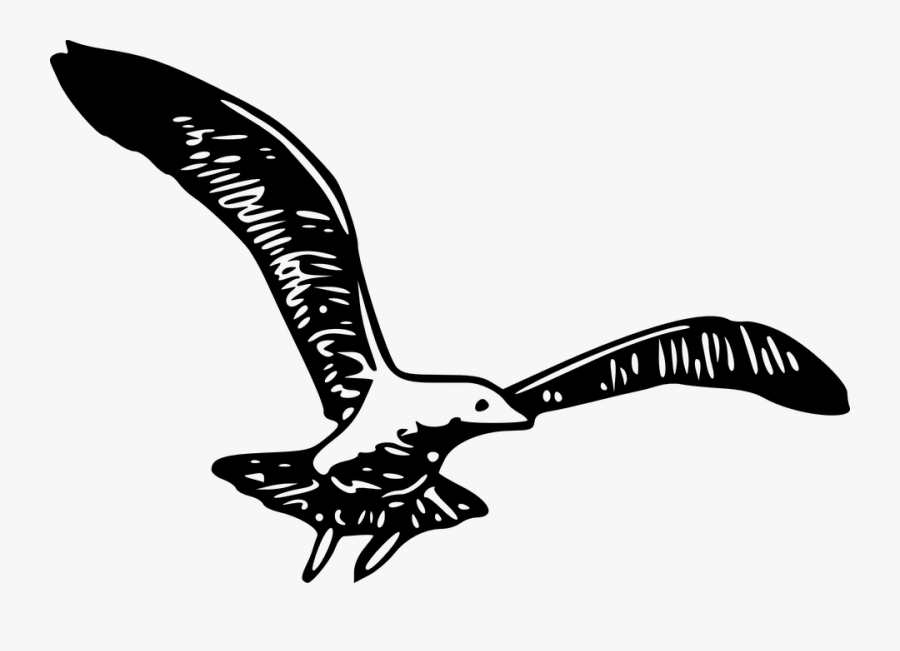 Herring Gull 1b - Bird With Wings Spread Clipart, Transparent Clipart
