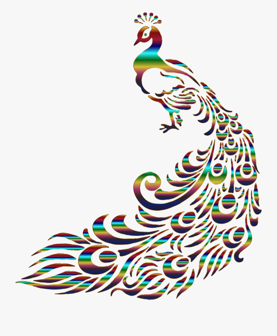 Washington Dc White House Clipart - Colorful Peacock Png Transparent Background, Transparent Clipart