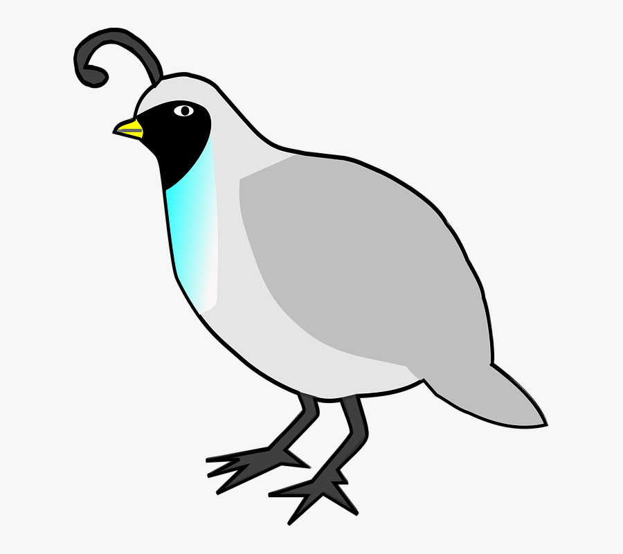Cliparts Quail, Transparent Clipart