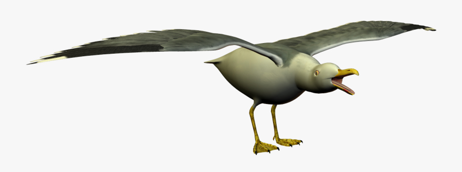 Flying Seagull Clipart - European Herring Gull, Transparent Clipart