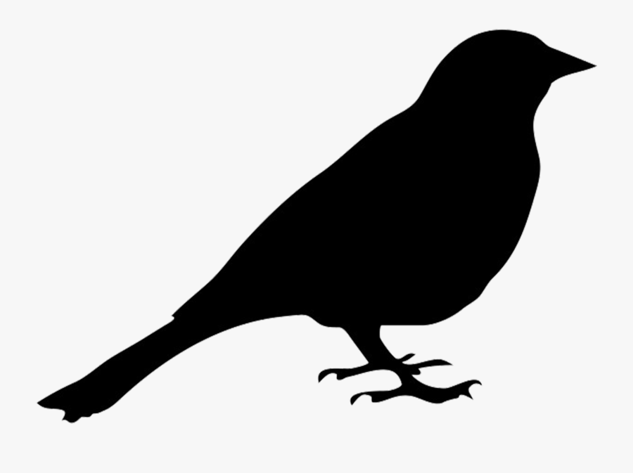Pigeon Silhouette Clipart, Transparent Clipart