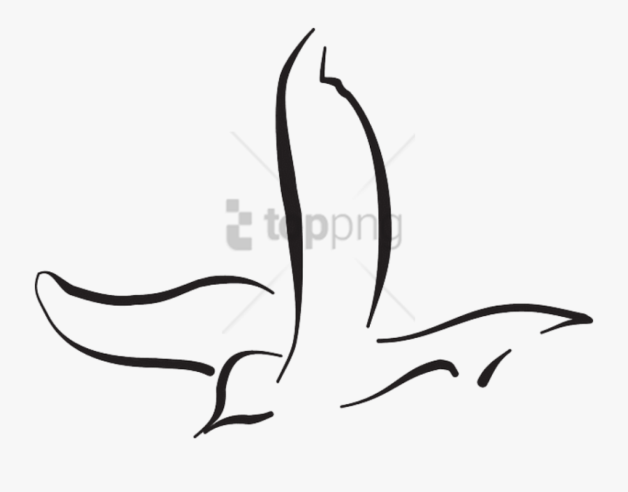 Transparent Seagull Clipart Black And White - Clipart Flying Bird Drawing, Transparent Clipart