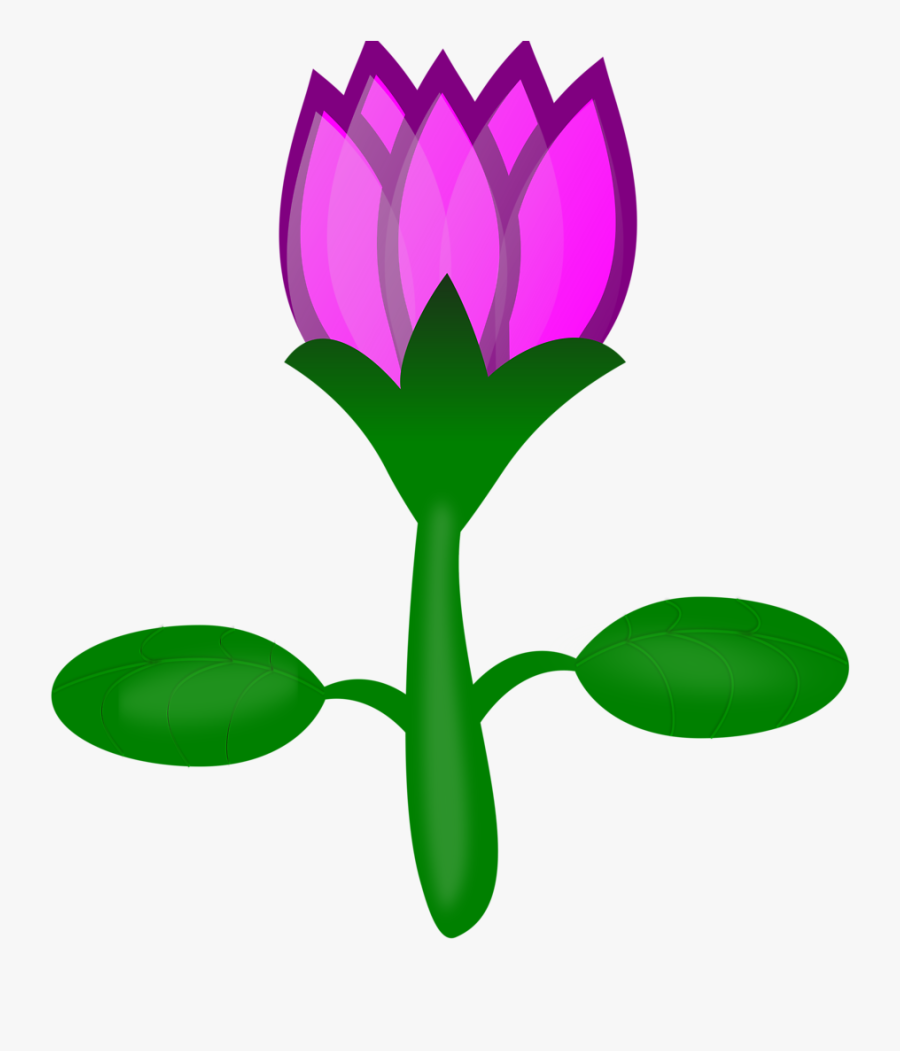 Lotus Seagull Om Svg Vector File, Vector Clip Art Svg - Cartoon Plants Transparent Background, Transparent Clipart