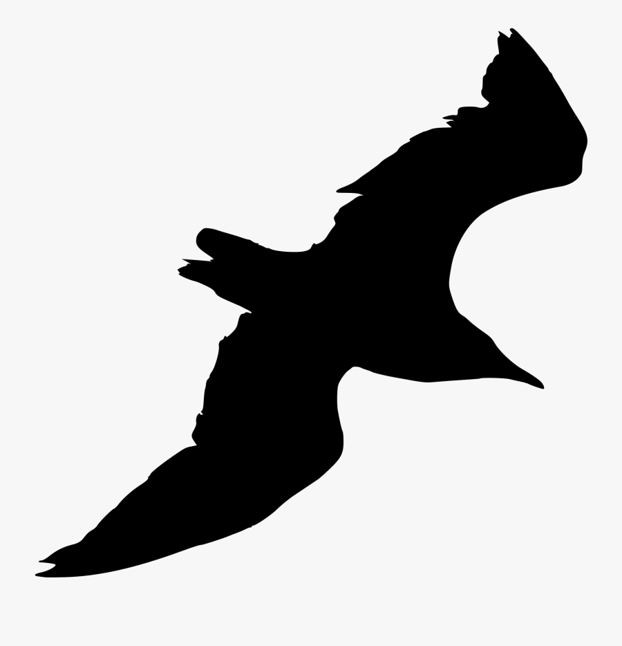 Gull Silhouette, Transparent Clipart