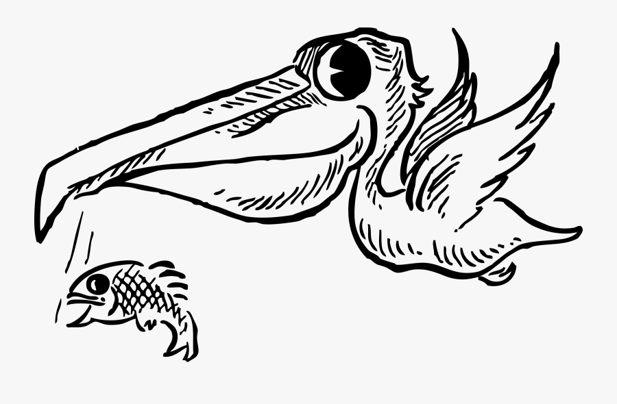 Clipart - Beak Clipart Black And White Clipart, Transparent Clipart