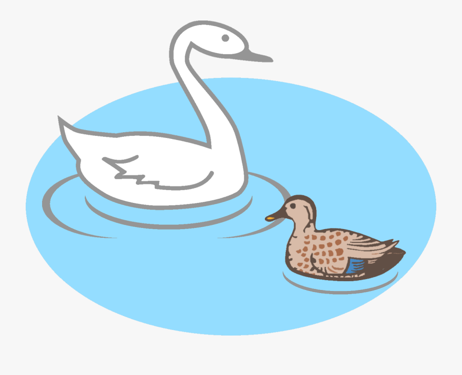 Duck Goose Clip Art - Blue Winged Teal, Transparent Clipart