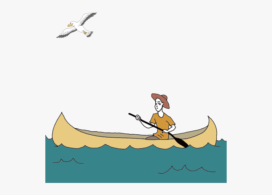 Seagull Png , Png Download, Transparent Clipart