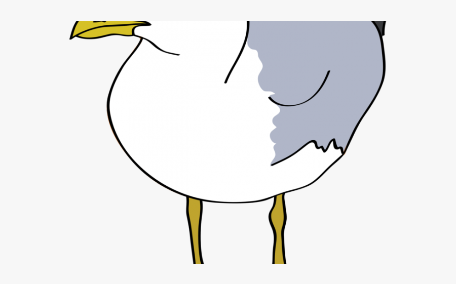 Seagull Clipart, Transparent Clipart