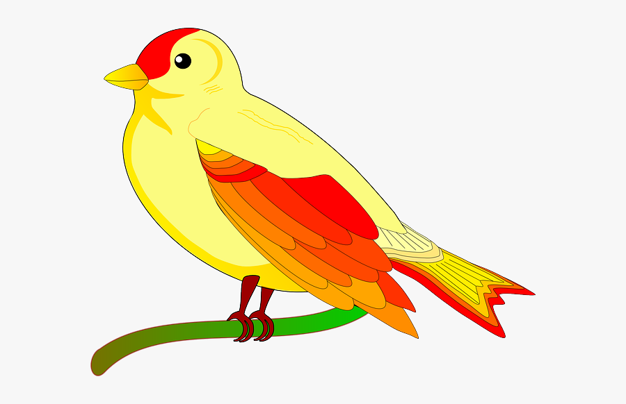 Bird Of Peace Mauro Oliv 01 - Bird Clipart, Transparent Clipart