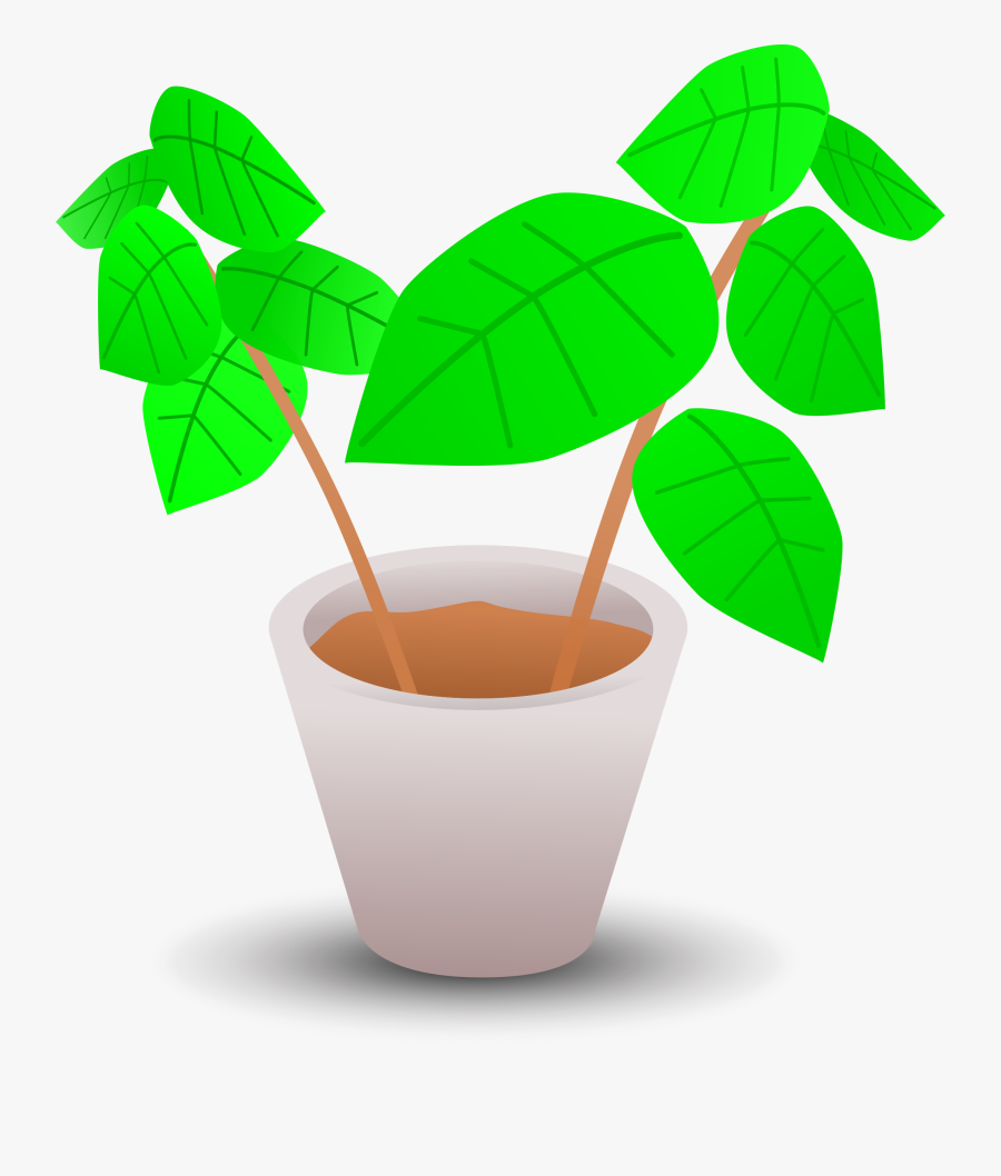 Plant In A Pot - Plant In Pot Clipart, Transparent Clipart