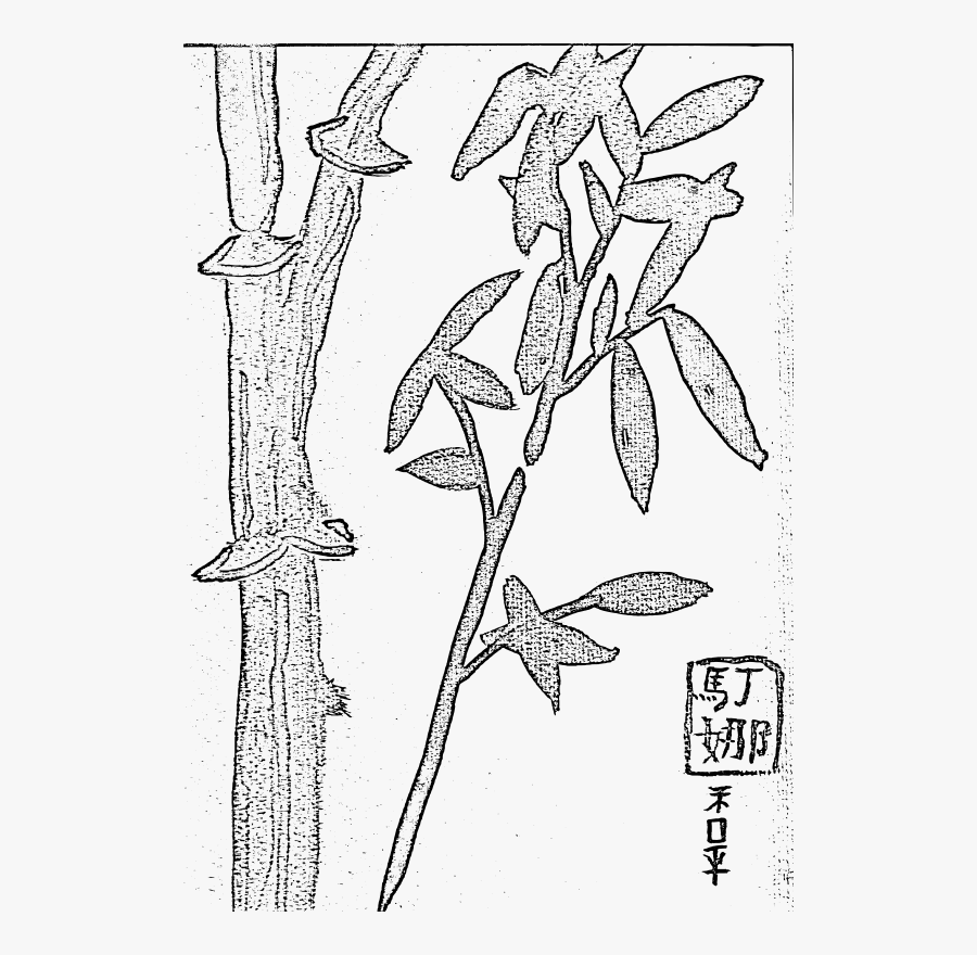 Bamboo Peace - Sketch, Transparent Clipart