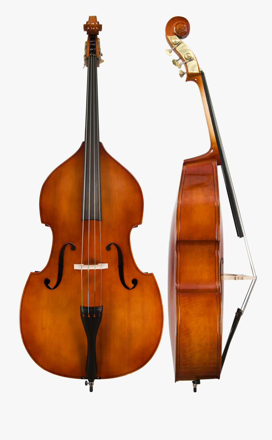 Instrument Double Bass Clipart - Transparent Double Bass Png, Transparent Clipart