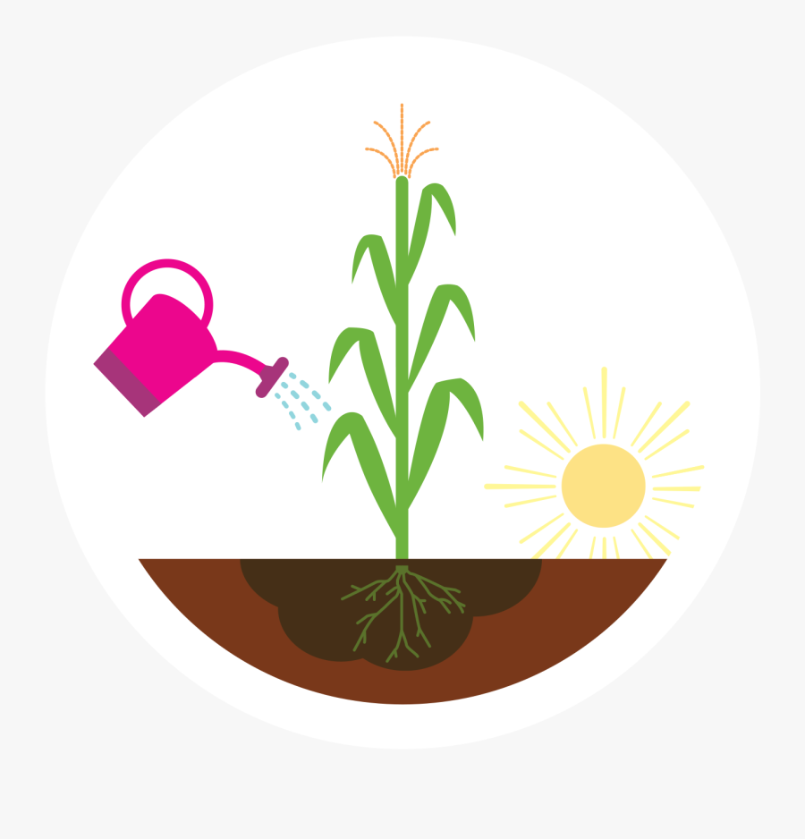 Hot Summer Watering Tips - Emblem, Transparent Clipart