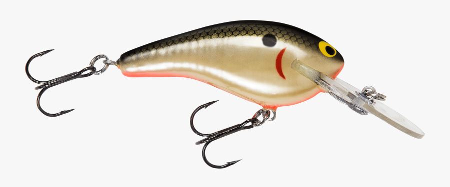 Bass Fish Png Clipart Best, Transparent Clipart