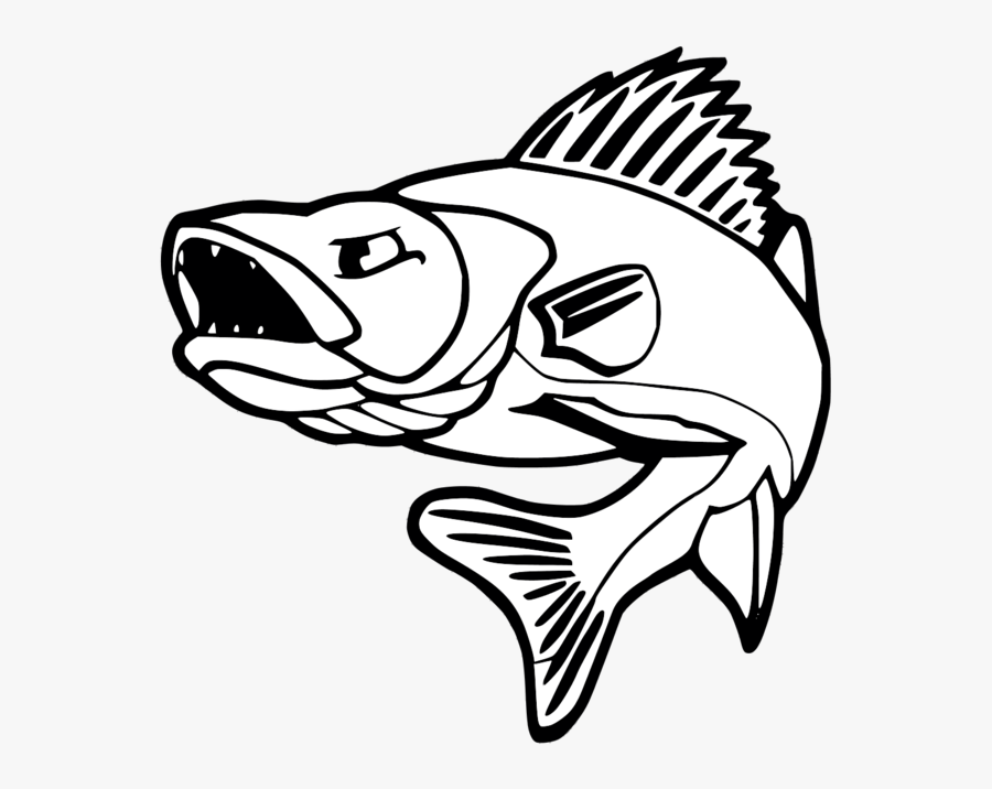 Collection Of Free Bass Drawing Walleye Download On - Drawing Walleye, Transparent Clipart