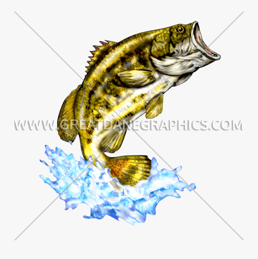 Large Mouth Bass - Largemouth Bass Jumping, Transparent Clipart
