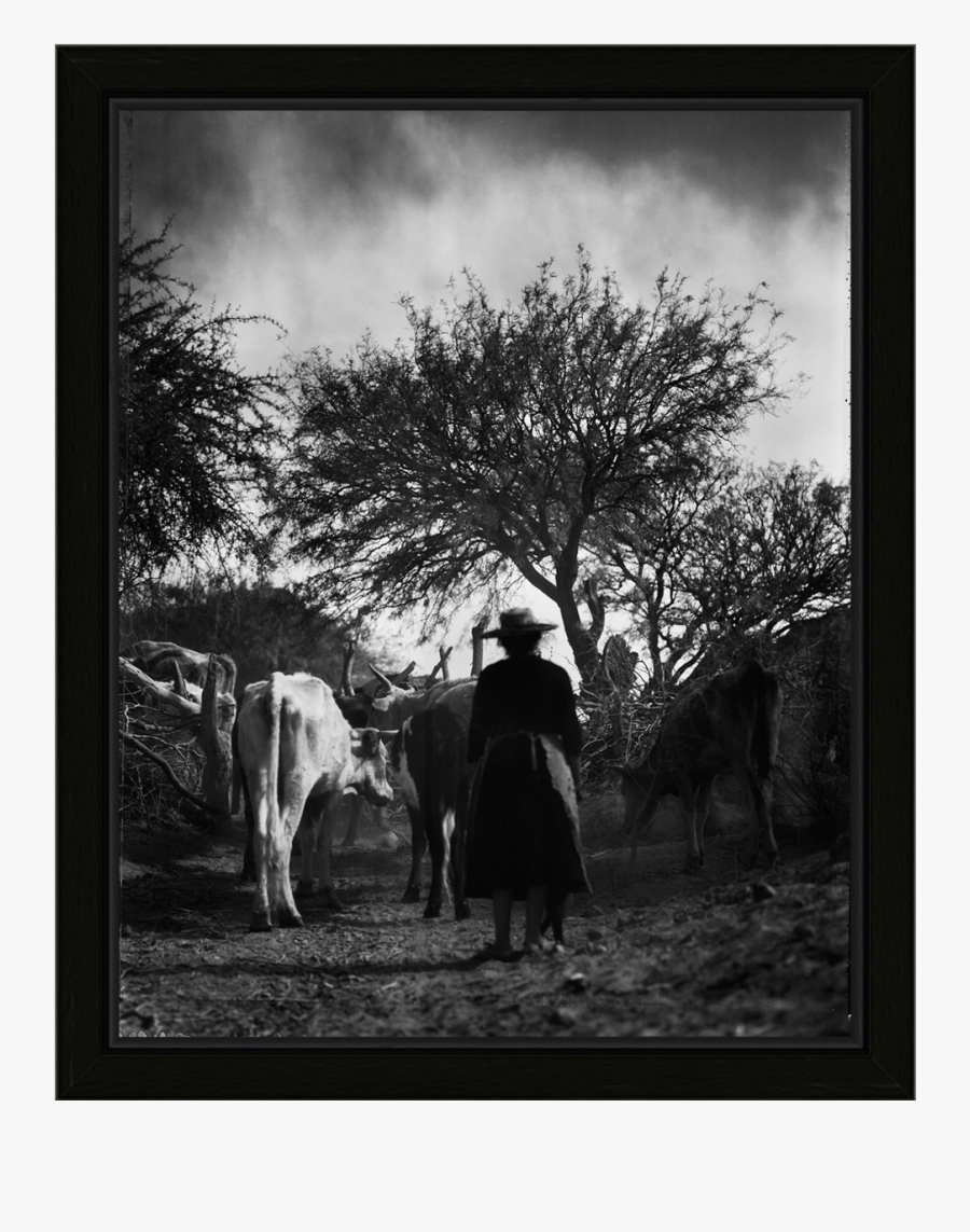 Clip Art The Shepherdess Amazing Pinterest - Photograph, Transparent Clipart